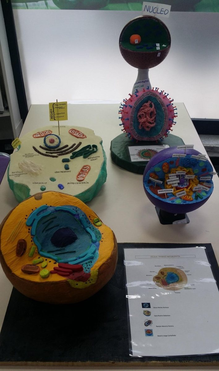 Maquetas tridimensionales realizadas por alumnos en clase