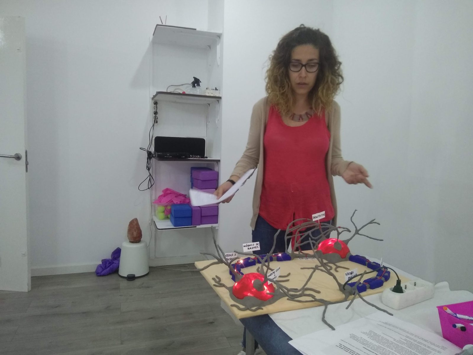 Alumna explicando una maqueta del sistema circulatorio